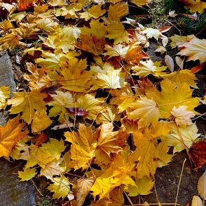 All prices negotiable